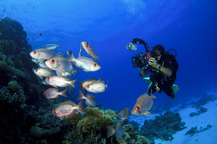 fotografia subaquática importância