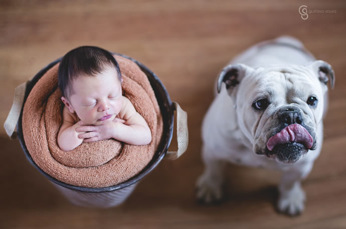 fotos criativas de bebe com cachoro