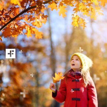 dicas para fotógrafos criarem fotos incríveis no outono