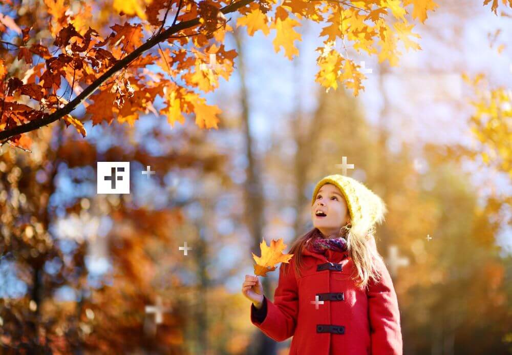dicas para fotógrafos criarem fotos incríveis no outono
